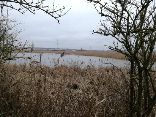 Plains of Zwijndrecht, Antwerp (Belgium)